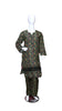 2 Pcs Women's Stitched Printed Shirt And Trouser